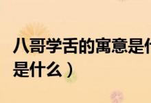 八哥學(xué)舌的寓意是什么意思（八哥學(xué)舌的寓意是什么）