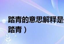 踏青的意思解釋是什么（踏青的意思 什么是踏青）