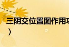 三陰交位置圖作用功效（三陰交位置圖和作用）