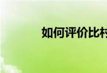 如何評(píng)價(jià)比村奇石的作品風(fēng)格