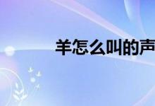 羊怎么叫的聲音（羊怎么叫的）