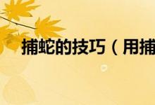 捕蛇的技巧（用捕蛇籠抓蛇有什么技巧）