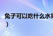 兔子可以吃什么水果皮（兔子可以吃什么水果）