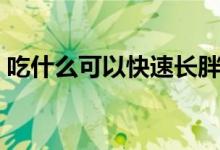 吃什么可以快速長胖（吃什么可以快速增肥）