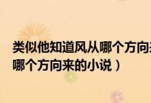 類似他知道風(fēng)從哪個方向來的公路文小說（類似他知道風(fēng)從哪個方向來的小說）