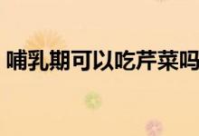 哺乳期可以吃芹菜嗎（哺乳期可以吃芒果嗎）