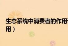 生態(tài)系統(tǒng)中消費(fèi)者的作用課文原文（生態(tài)系統(tǒng)中消費(fèi)者的作用）