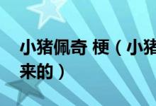 小豬佩奇 梗（小豬佩奇是什么梗這個梗怎么來的）