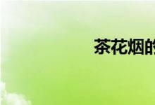 茶花煙的產(chǎn)地是哪里