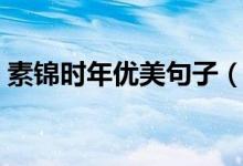 素錦時年優(yōu)美句子（素年錦時里的經(jīng)典語錄）