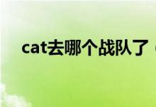 cat去哪個(gè)戰(zhàn)隊(duì)了（解說cat是哪個(gè)戰(zhàn)隊(duì)）