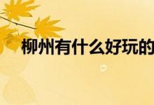 柳州有什么好玩的（柳州旅游景點介紹）