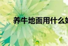 養(yǎng)牛地面用什么好（養(yǎng)牛地面是什么）