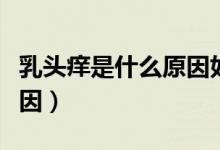 乳頭癢是什么原因如何防治（乳頭癢是什么原因）
