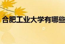 合肥工業(yè)大學有哪些專業(yè)（什么專業(yè)好就業(yè)）