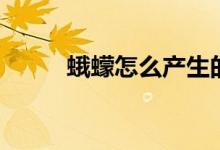 蛾蠓怎么產(chǎn)生的（蛾蠓怎么消滅）