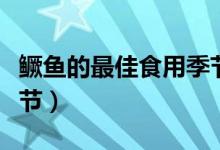 鱖魚的最佳食用季節(jié)（鱖魚肥的時(shí)候是什么季節(jié)）