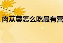 肉蓯蓉怎么吃最有營養(yǎng)（肉蓯蓉怎么吃補(bǔ)腎）