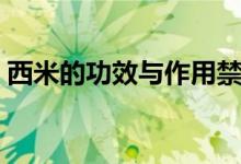 西米的功效與作用禁忌（西米的功效與作用）