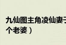 九仙圖主角凌仙妻子有幾個（九仙圖凌仙有幾個老婆）