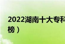 2022湖南十大?？茖W校排名（高職院校排行榜）