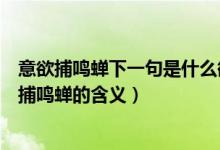 意欲捕鳴蟬下一句是什么欲意捕鳴蟬的欲是什么意思（意欲捕鳴蟬的含義）