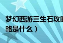 夢(mèng)幻西游三生石攻略視頻（夢(mèng)幻西游三生石攻略是什么）