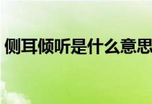 側(cè)耳傾聽是什么意思（詞語側(cè)耳傾聽的意思）