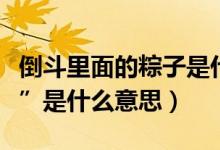 倒斗里面的粽子是什么（倒斗中的術(shù)語“粽子”是什么意思）