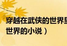 穿越在武俠的世界里小說（求幾本穿越到武俠世界的小說）