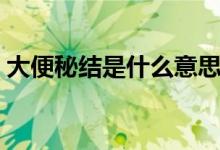 大便秘結(jié)是什么意思（大便秘結(jié)是什么意思）
