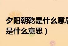 夕陽朝乾是什么意思（朝乾夕惕和夕陽朝乾各是什么意思）