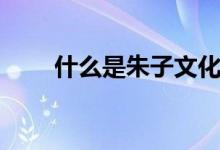 什么是朱子文化（什么是朱子文化）