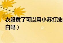 衣服黃了可以用小蘇打洗白嗎（小蘇打可以把發(fā)黃的衣服洗白嗎）