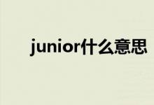 junior什么意思（junior的中文意思）