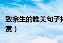 致余生的唯美句子抖音（致余生的唯美句子欣賞）