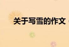 關(guān)于寫雪的作文（有關(guān)雪的作文范文）