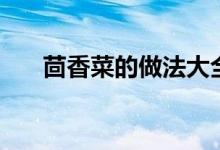 茴香菜的做法大全集（茴香菜的做法）