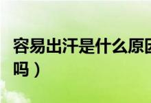 容易出汗是什么原因造成的（容易出汗是腎虛嗎）