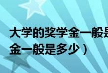 大學(xué)的獎(jiǎng)學(xué)金一般是怎么評(píng)選的（大學(xué)的獎(jiǎng)學(xué)金一般是多少）