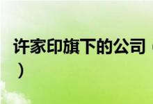 許家印旗下的公司（許家印在中達(dá)的老板是誰(shuí)）