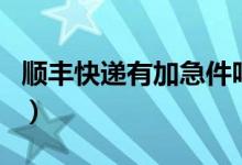 順豐快遞有加急件嗎（順豐快遞有加急特快嗎）