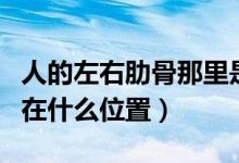 人的左右肋骨那里是什么位置（人的十二肋骨在什么位置）