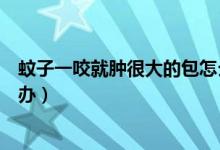 蚊子一咬就腫很大的包怎么治（蚊子一咬就腫很大的包怎么辦）