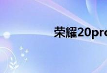 榮耀20pro有無線充電嗎