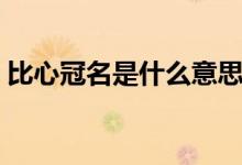 比心冠名是什么意思（比心冠名是什么意思）