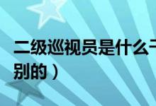二級巡視員是什么干部（二級巡視員是什么級別的）