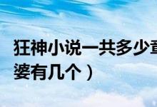 狂神小說(shuō)一共多少章（小說(shuō)狂神主角最后的老婆有幾個(gè)）