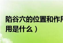 陷谷穴的位置和作用視頻（陷谷穴的位置和作用是什么）