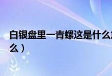 白銀盤里一青螺這是什么意思（白銀盤里一青螺的意思是什么）